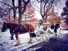 Lafayette Square Christmas House Tour Carriage Ride in the Snow