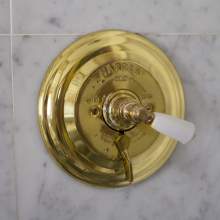 President's Bathroom brass shower diverter