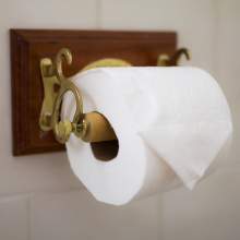 President's Bathroom view of toilet paper holder