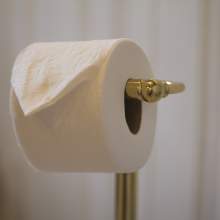 Maids Room bathroom brass toilet paper holder