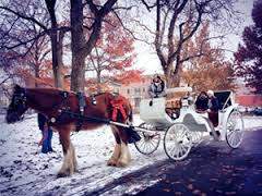 Lafayette Square Christmas House Tour Carriage Ride in the Snow