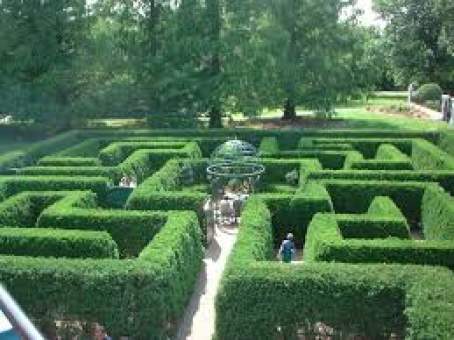 Missouri Botanical Gardens Hedge Maze